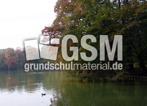 Herbststimmung-23-10-09 014.jpg